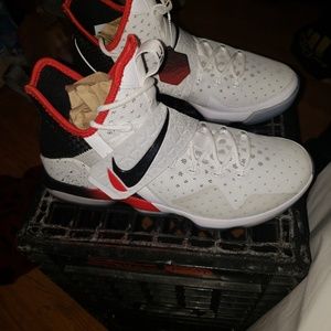 Lebron 14 flip the switch